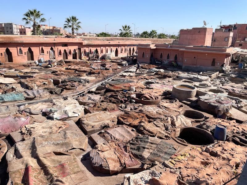 Hides and carpets covering tanning pits and some doors, the Tanneries, Rue Errachidia, Marrakesh, Morocco, January 2025