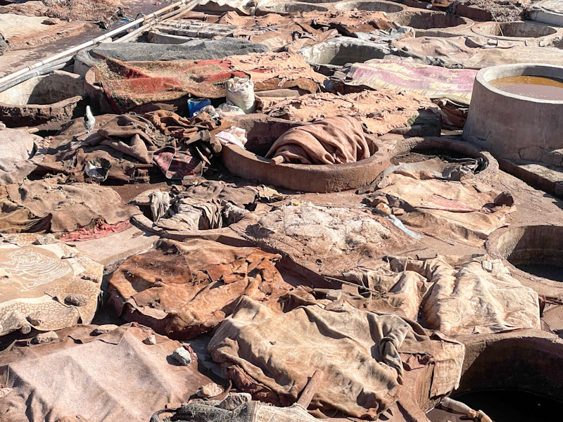 Is there any order in the chaos? Can you spot the chickens?, the Tanneries, Rue Errachidia, Marrakesh, Morocco, January 2025