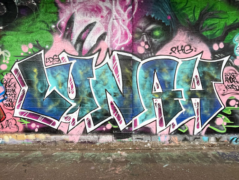 Luna, M32 Cycle path, Bristol, December 2025