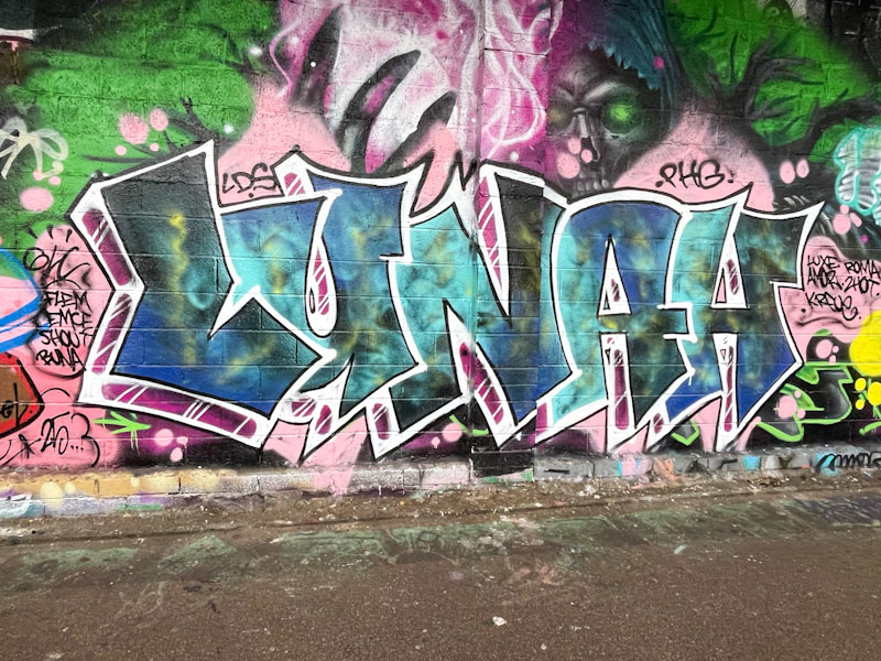 Luna, M32 Cycle path, Bristol, December 2025