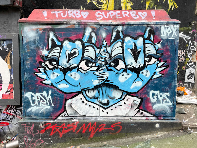 Daz Cat, Turbo Island, Bristol, December 2025