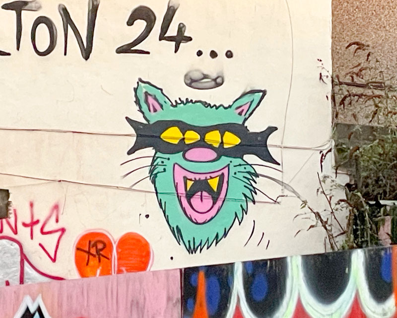 Rowdy, Stapleton Road, Bristol, January 2026