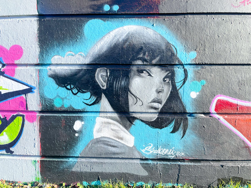 Shade One, Cumberland Basin, Bristol, January 2026