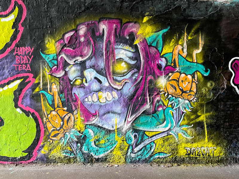 Daz Cat, St Werburghs, Bristol, January 2026