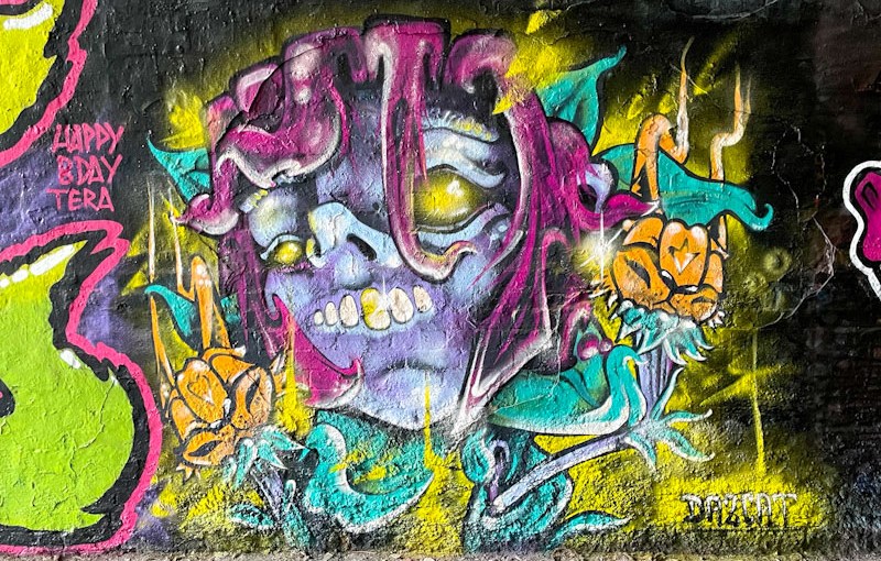 Daz Cat, St Werburghs, Bristol, January 2026