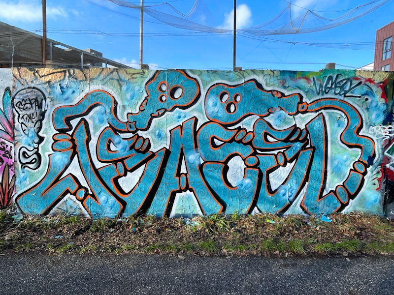 Weas (Weasel), Greenbank, Bristol, January 2026