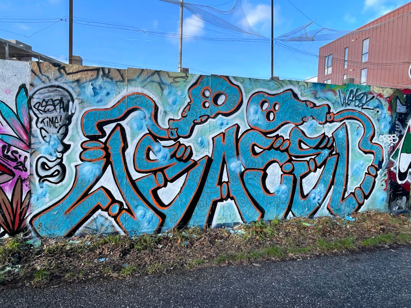 Weas (Weasel), Greenbank, Bristol, January 2026