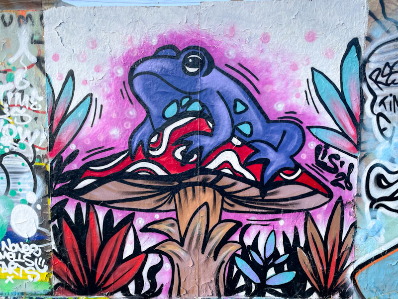 Lis, Greenbank, Bristol, January 2026