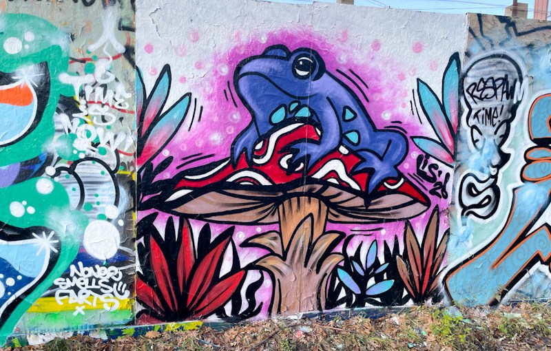 Lis, Greenbank, Bristol, January 2026