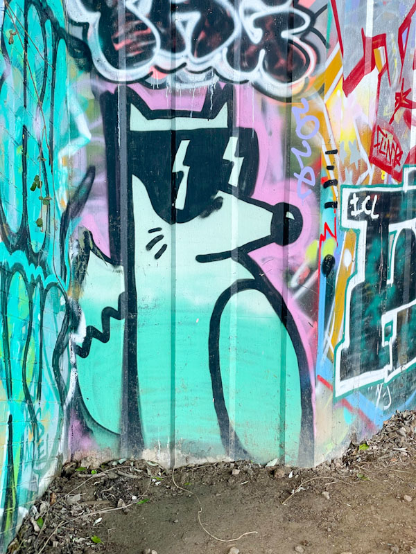 Foksymoron, M32 Cycle path, Bristol, January 2026