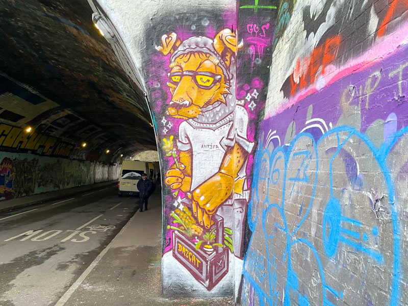 Daz Cat, St Werburghs, Bristol, January 2026