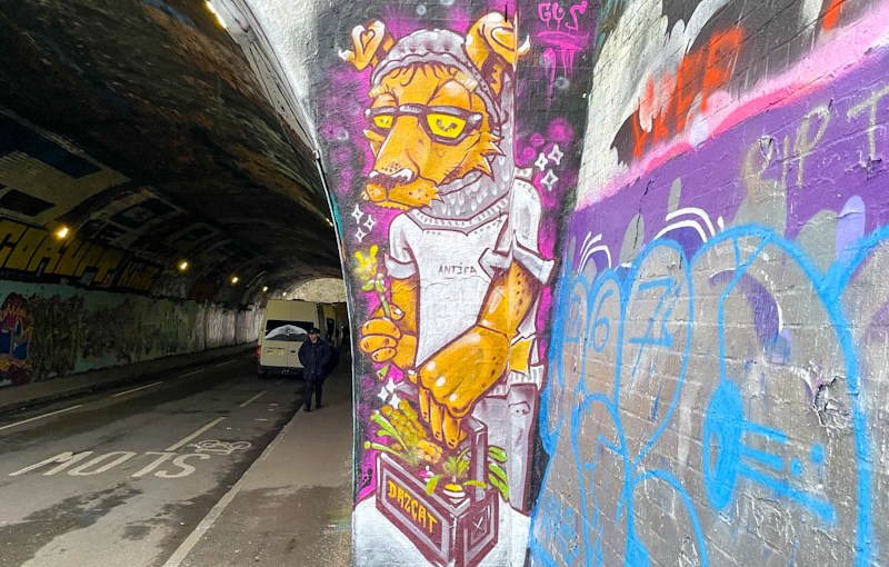 Daz Cat, St Werburghs, Bristol, January 2026