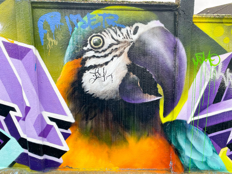 SkyHigh, Surbiton Station, London, February 2026