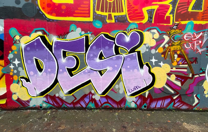 Desi and Posh, M32 roundabout, Bristol, February 2026