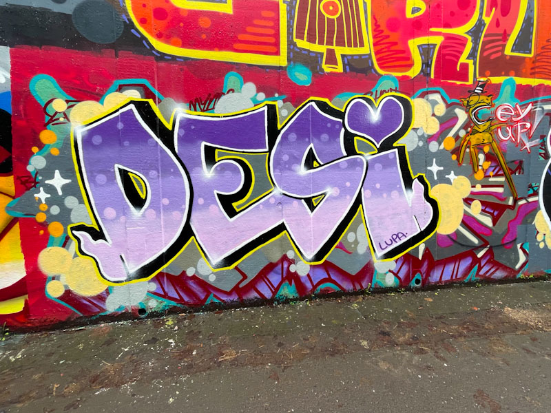 Desi and Posh, M32 roundabout, Bristol, February 2026