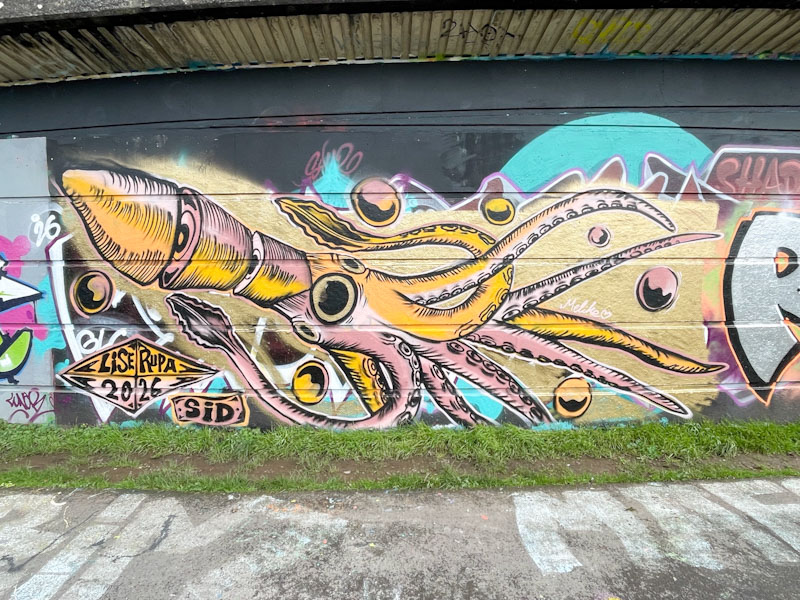 Lise Rupa, Cumberland Basin, Bristol, February 2026