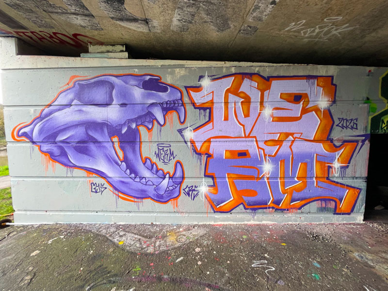 Werm, Cumberland Basin, Bristol, February 2026