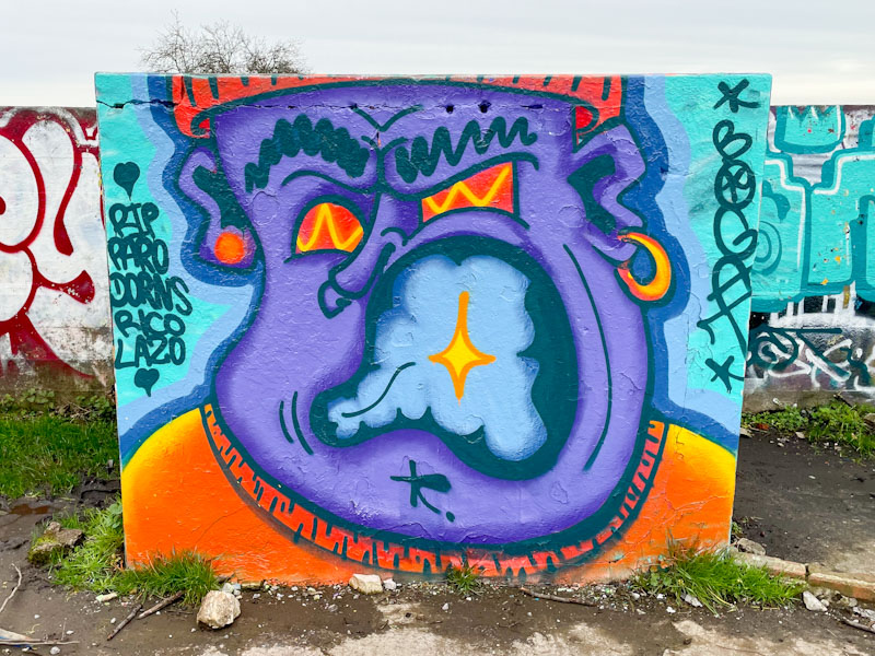 Bogat, Purdown, Bristol, February 2026