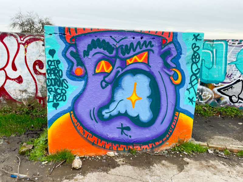 Bogat, Purdown, Bristol, February 2026