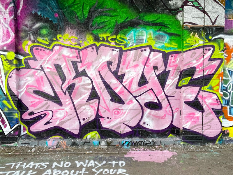 Redeye, M32 Cycle path, Bristol, February 2026