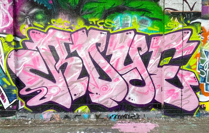 Redeye, M32 Cycle path, Bristol, February 2026