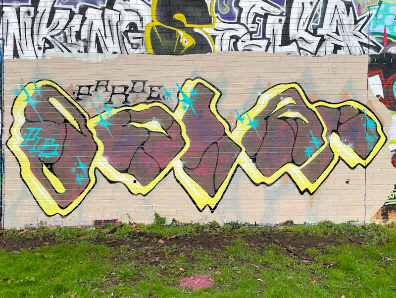 Solar, Sparke Evans Park, Bristol, February 2026