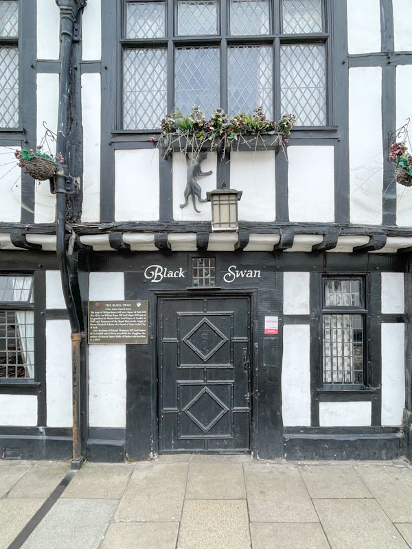 Door of the Black Swan pub, note the black cat above the door, York, North Yorkshire, June 2024