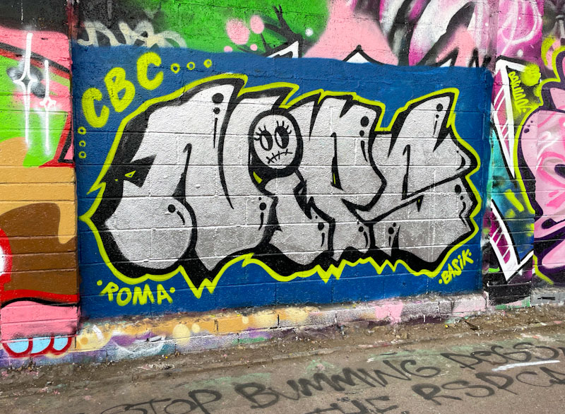 Nips, M32 Cycle path, Bristol, February 2026