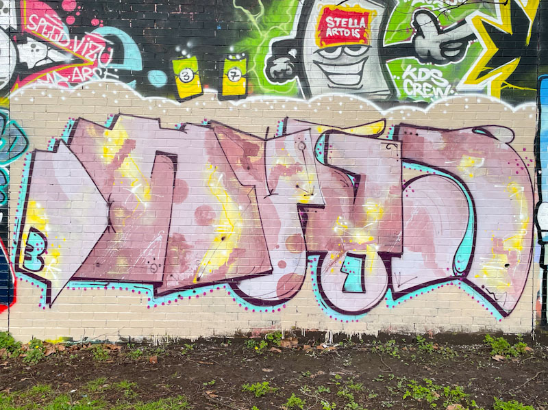 Dog Bless the Band, Sparke Evans Park, Bristol, February 2026