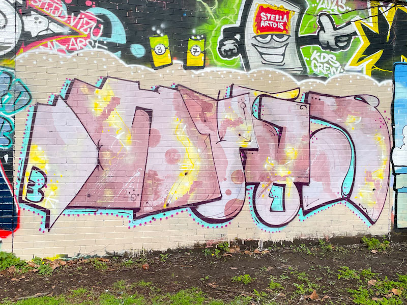 Dog Bless the Band, Sparke Evans Park, Bristol, February 2026