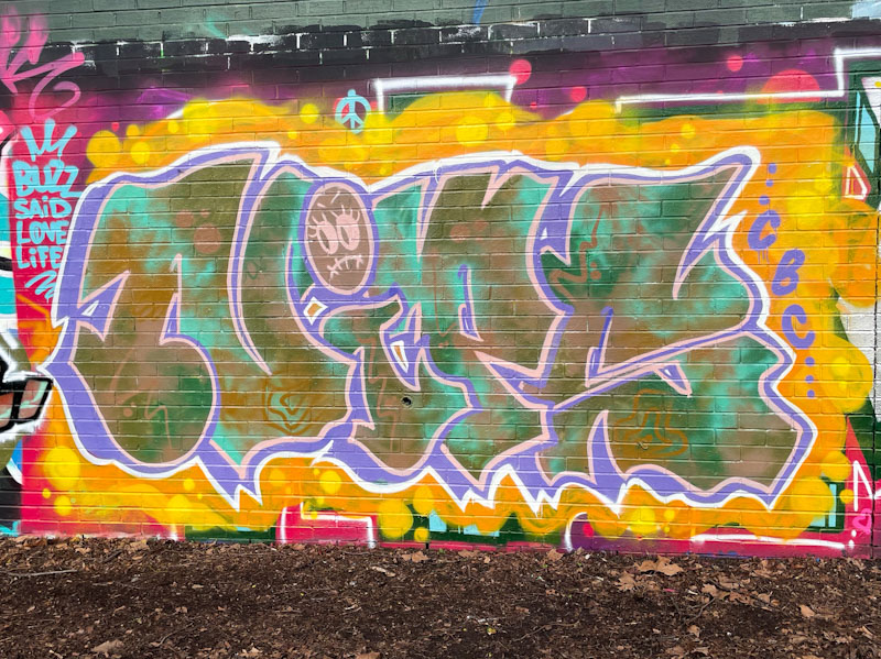 Nips, Sparke Evans Park, Bristol, February 2026