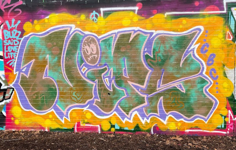 Nips, Sparke Evans Park, Bristol, February 2026