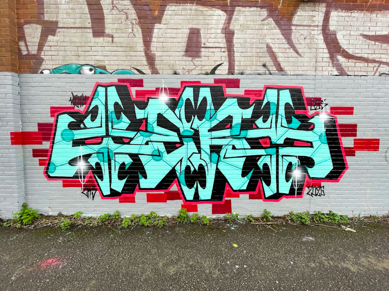 Werm, River Avon, Bristol, February 2026