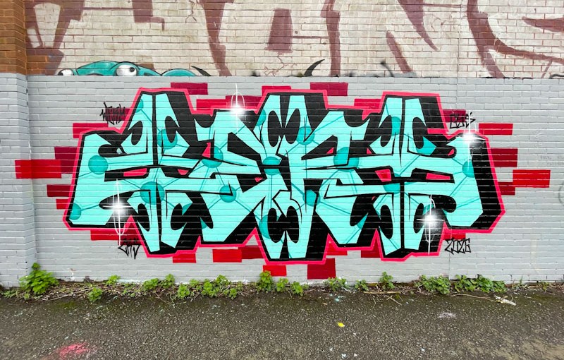 Werm, River Avon, Bristol, February 2026