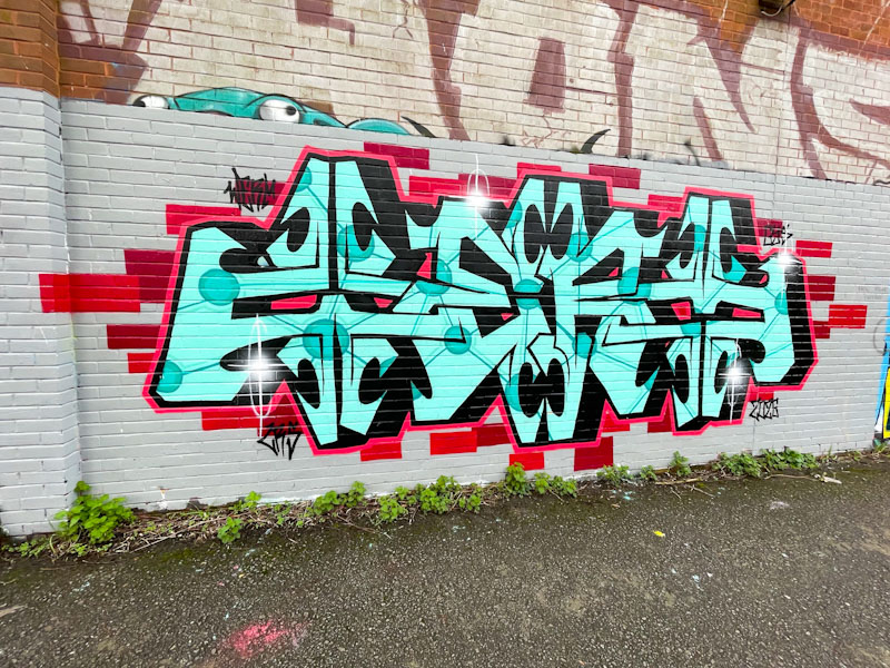 Werm, River Avon, Bristol, February 2026