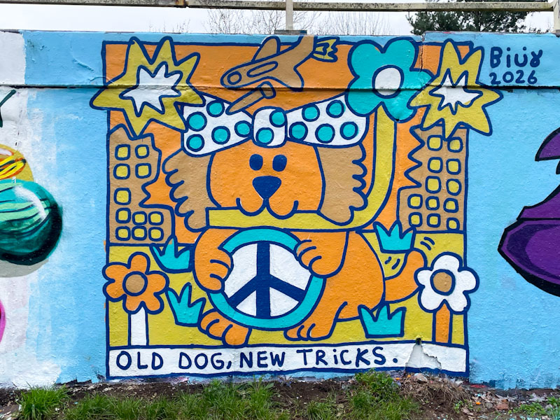 Billy, M32 roundabout, Bristol, March 2026