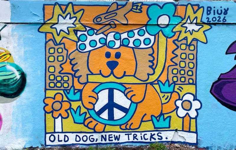 Billy, M32 roundabout, Bristol, March 2026