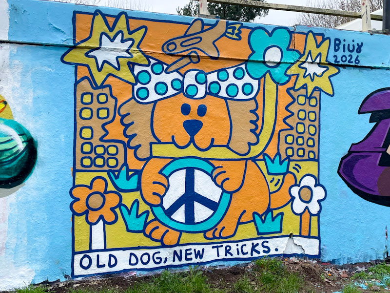 Billy, M32 roundabout, Bristol, March 2026