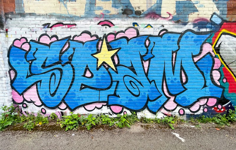 Asre, River Avon, Bristol, April 2026