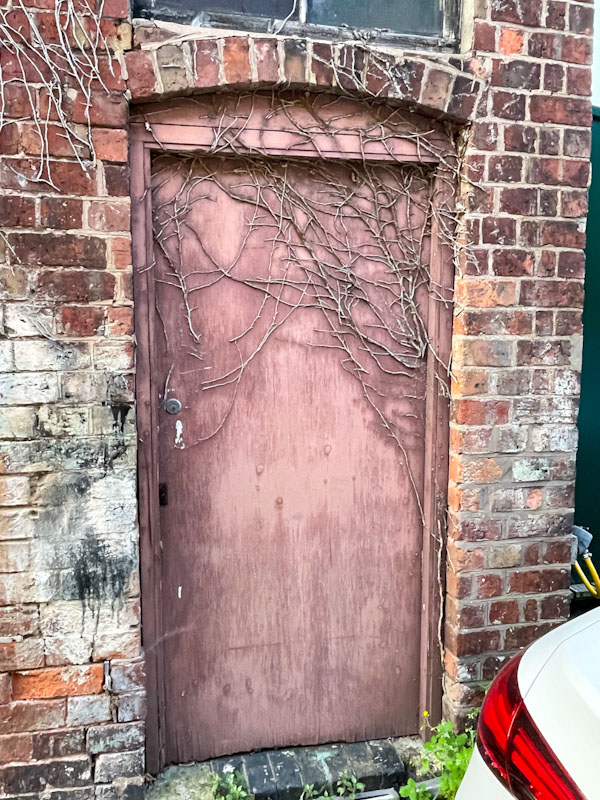 Back door with the remains of ivy encrustation, Claremont Bank, Shrewsbury, Shropshire, April 2025