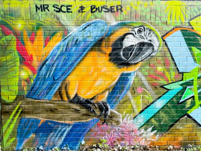 Mr Sce, River Avon, Bristol, May 2026