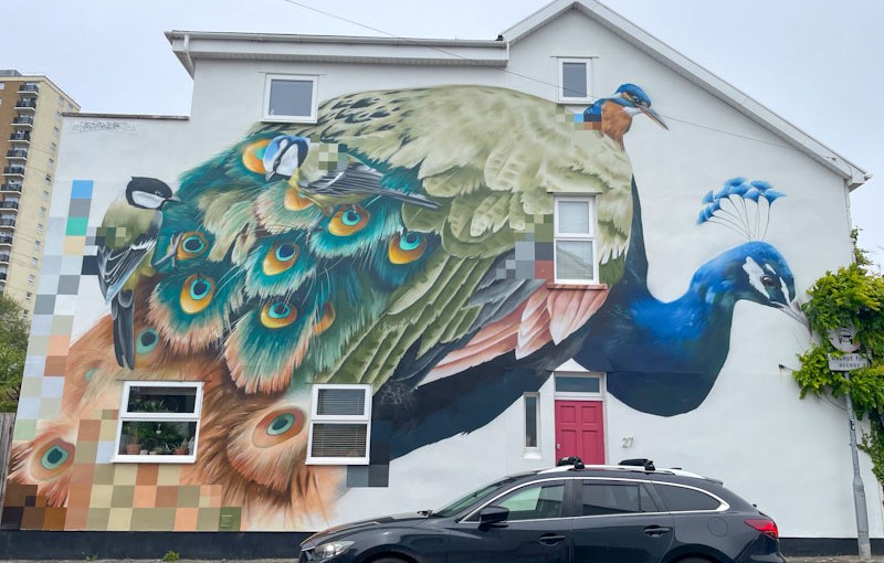 7699. Macscot Road – Upfest 2024&nbsp;(61)