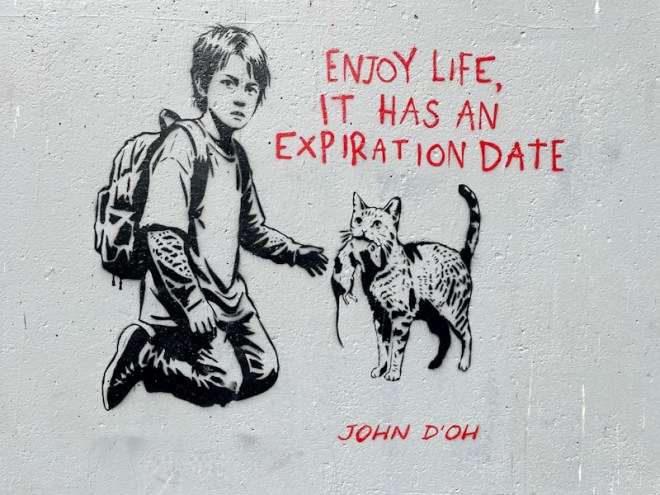 John D'oh, M32 roundabout J2, Bristol, May 2026
