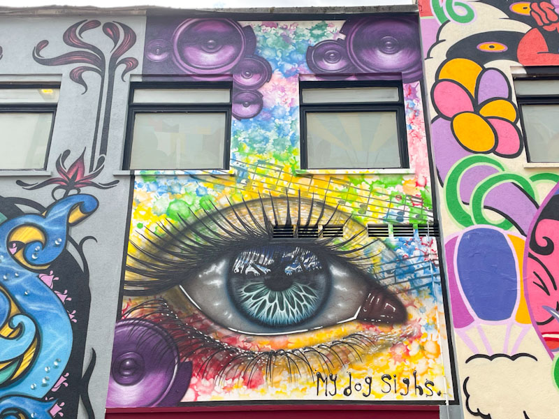 My Dog Sighs, Quakers Art Lane, Bristol, June 2026
