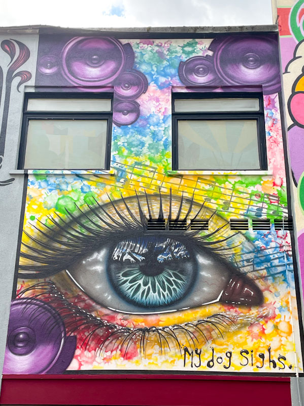My Dog Sighs, Quakers Art Lane, Bristol, June 2026