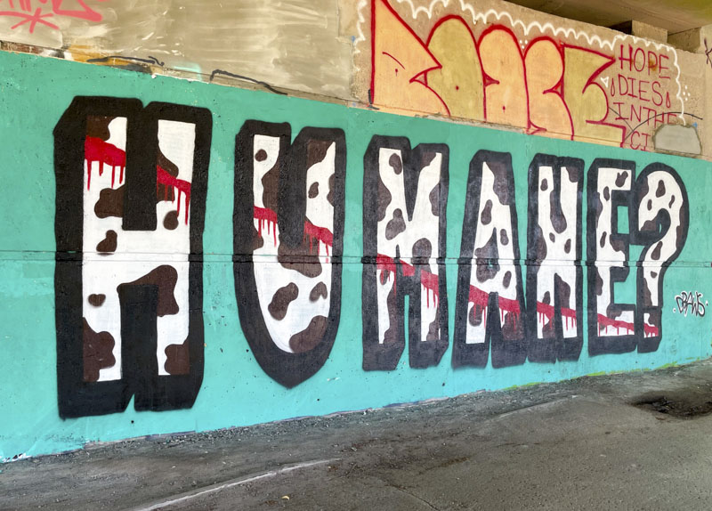 Mr Draws, Brunel Way, Bristol, July 2026