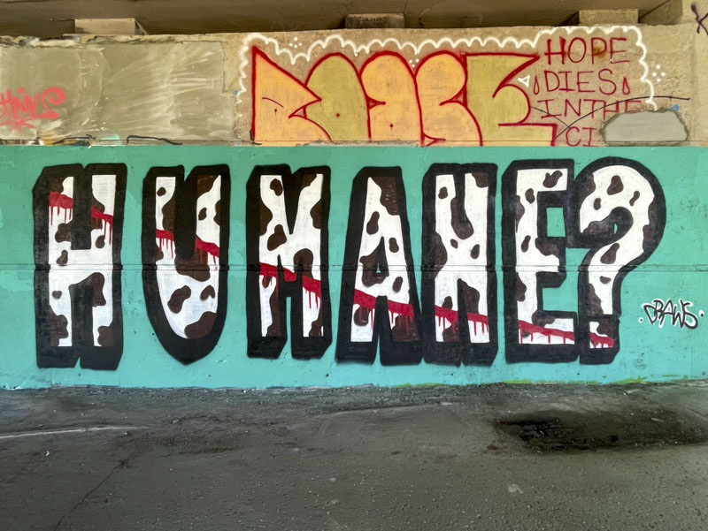 Mr Draws, Brunel Way, Bristol, July 2026