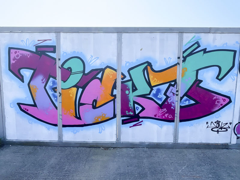 Donz, Goodneston Road, Bristol, July 2026