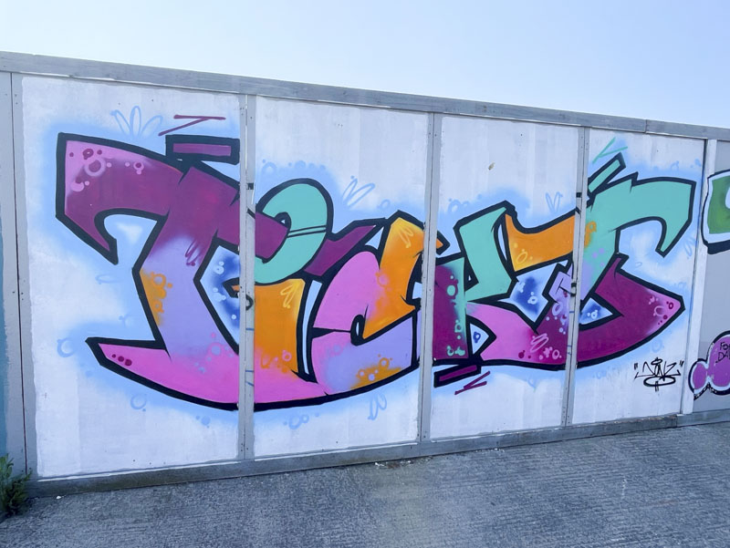 Donz, Goodneston Road, Bristol, July 2026
