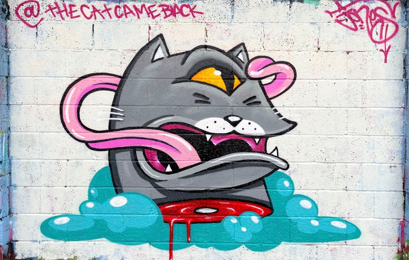 The Cat Came Back, M32 Cycle path, Bristol, August 2026